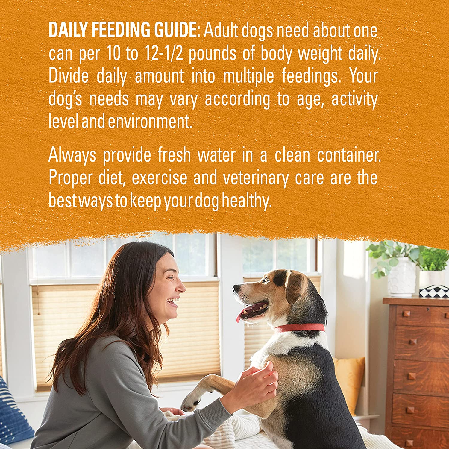 Purina Beyond Grain Free. Natural. Adult in Gravy Wet Dog Food. Chicken & Sweet Potato