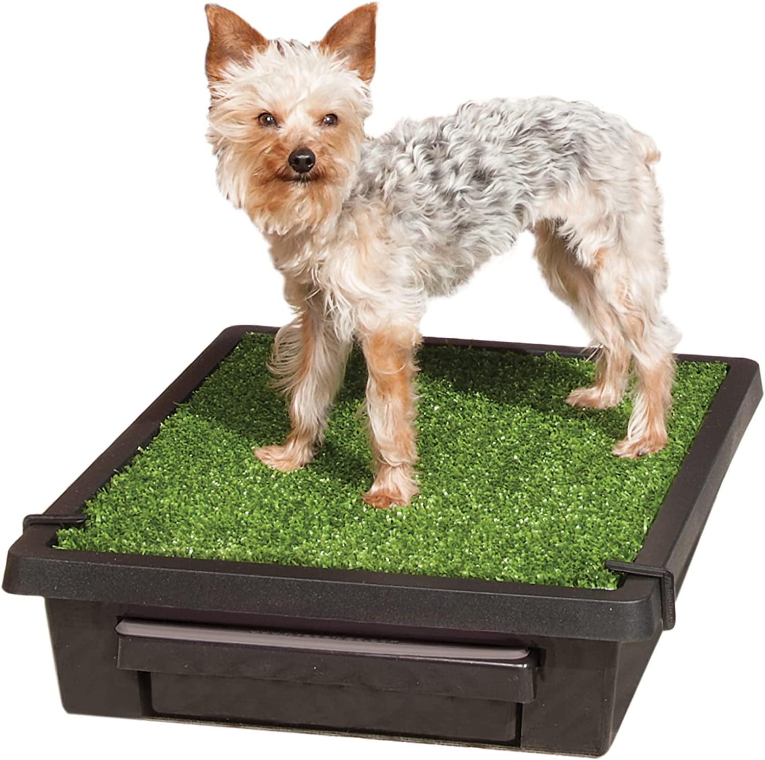 PetSafe Pet Loo Portable Indoor & Outdoor Dog Potty. Small