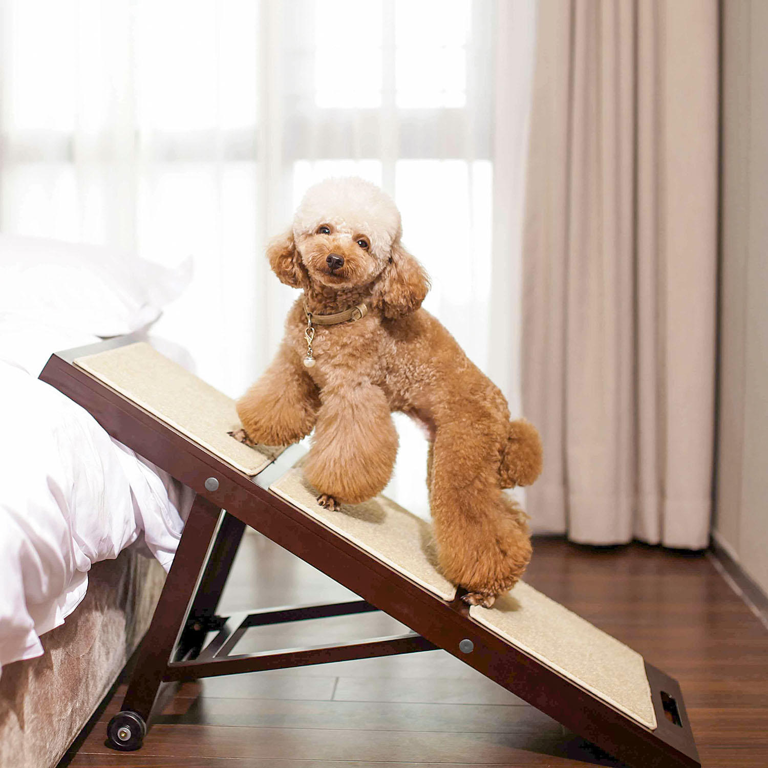 Zoovilla Collapsible Pet Ramp. Espresso