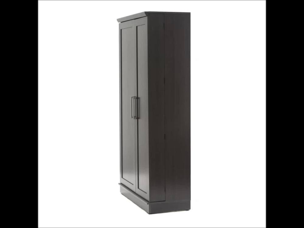 Sauder 411572 Homeplus Storage Cabinet. Dakota Oak? Finish
