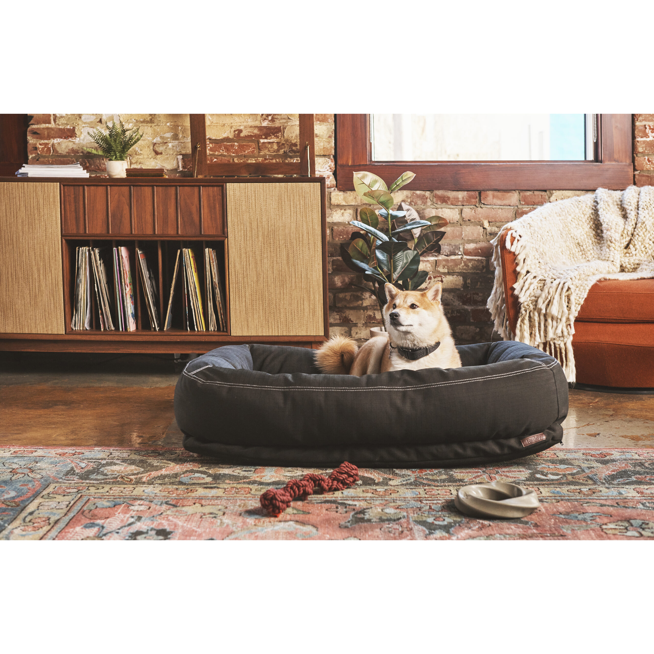 Reddy Indoor/Outdoor Dog Bed. 40″ L X 30″ W. Black
