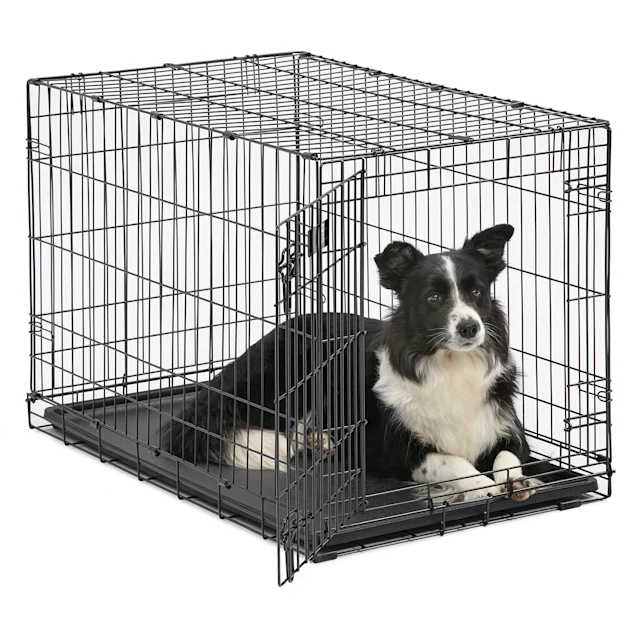 Midwest iCrate Single Door Folding Dog Crate. 36″ L X 23″ W X 25″ H