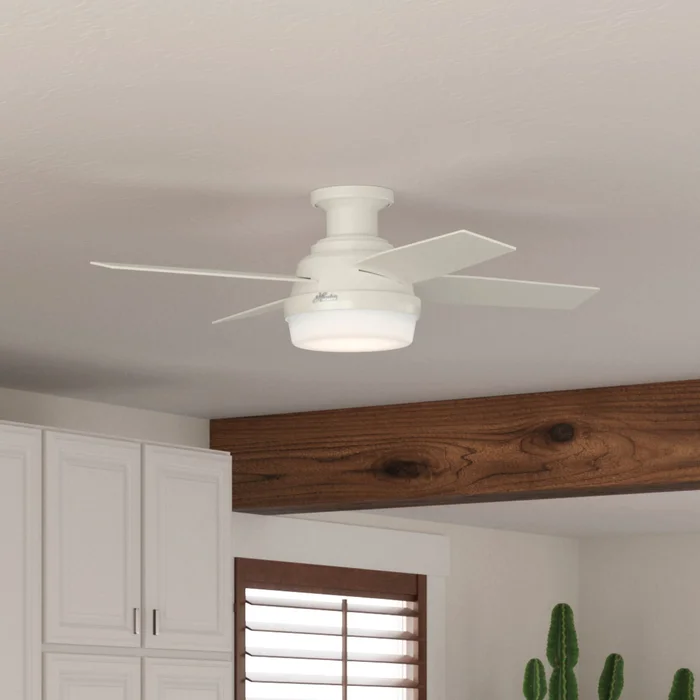 Hunter Fan Dempsey Low Profile 44” Ceiling Fan with Light Kit