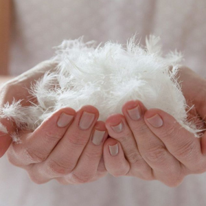 Luxury Natural Down and Feather Bed Pillows 2 Pack