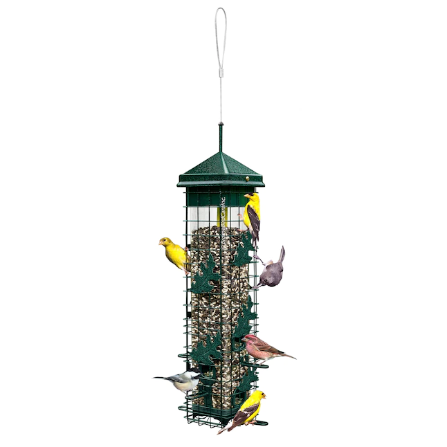 Brome Squirrel Solution 200 Squirrel-Proof Wild Bird Feeder with 6 Feeding Ports. 3.4 lb Seed Capacity. Free Seed Funnel