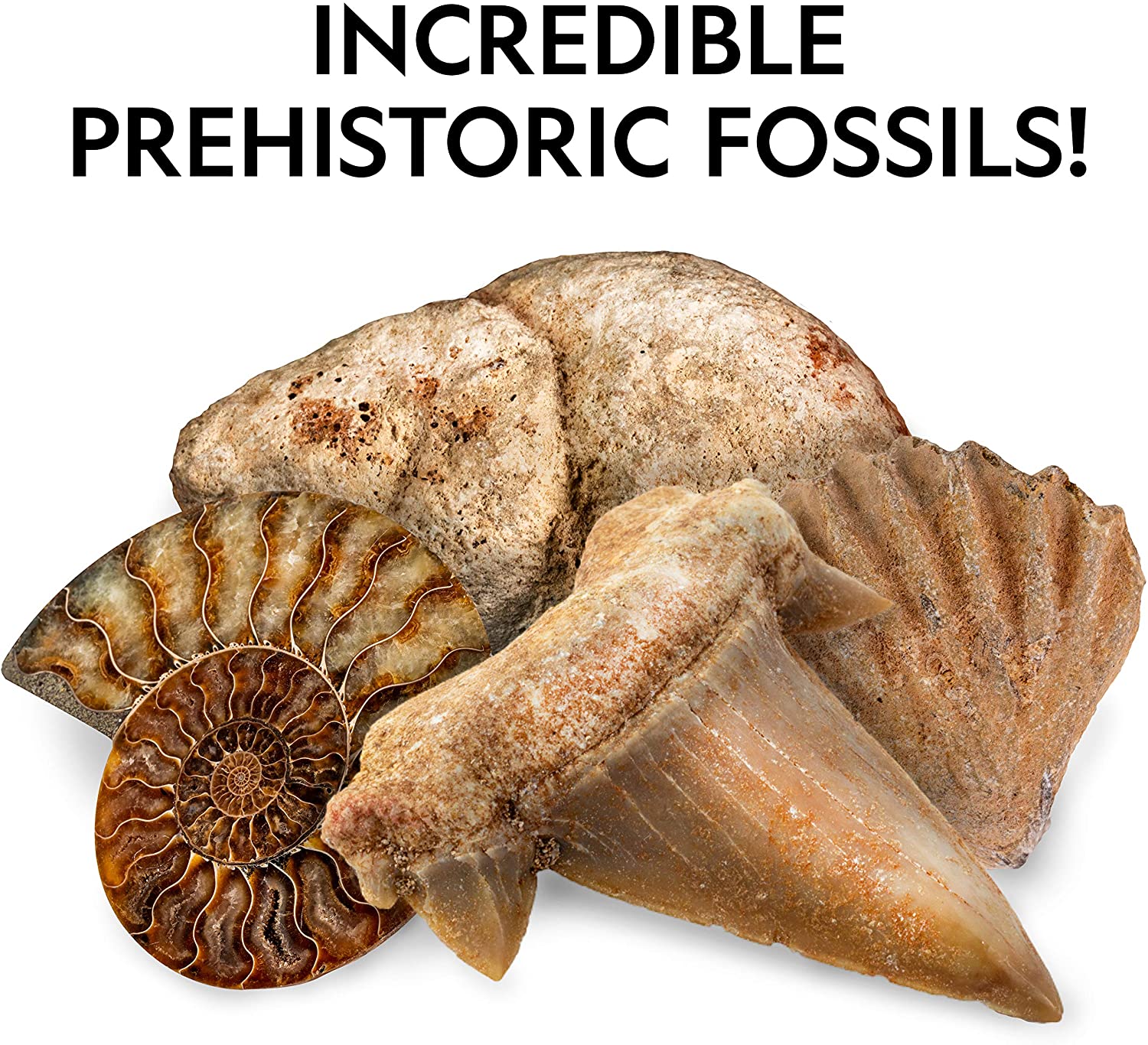 NATIONAL GEOGRAPHIC Rocks & Fossils Kit . Ultimate Rock Collection