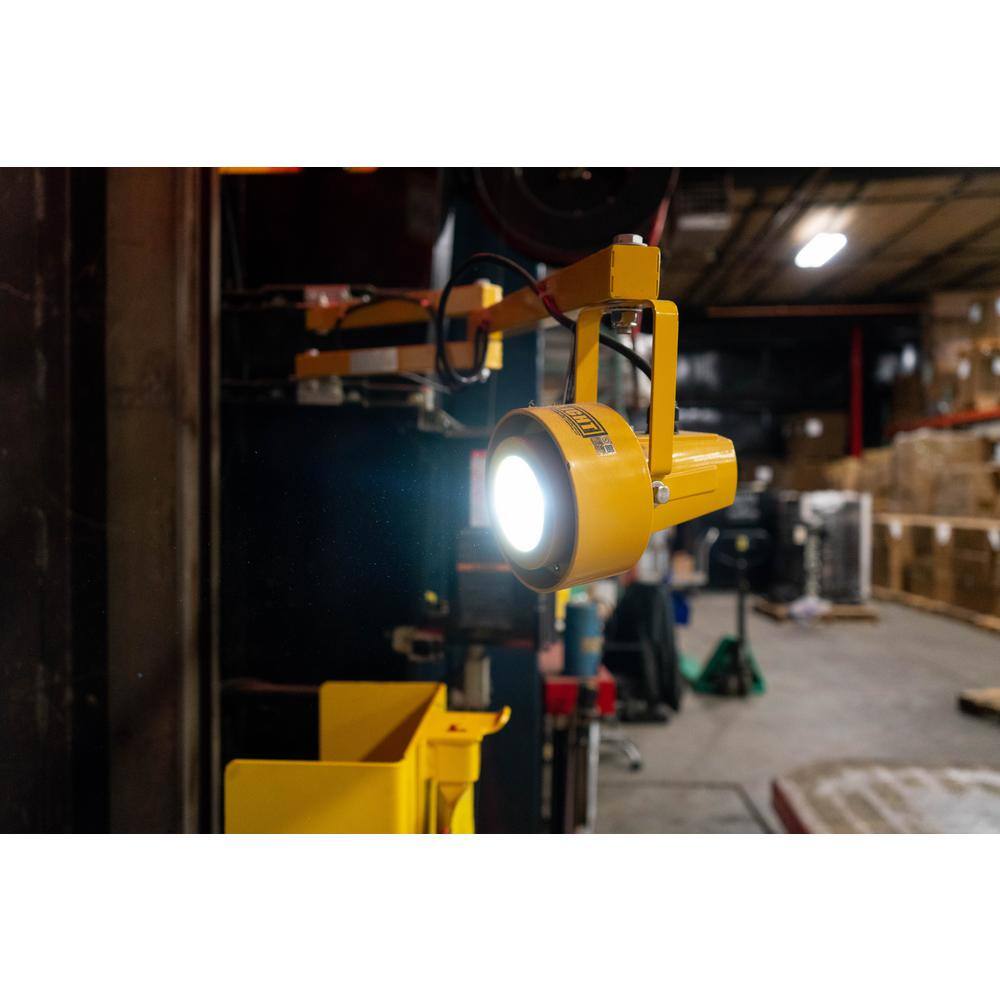 Southwire 111510 20-Watt Prolight 40 in. Steel Arm LED Dock Light