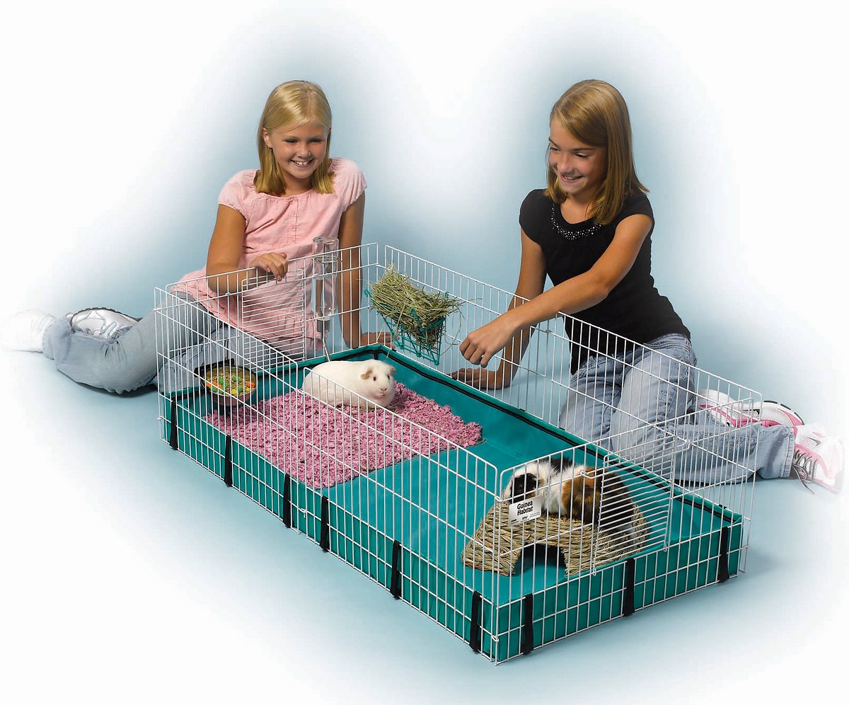 MidWest Guinea Habitat Guinea Pig Home