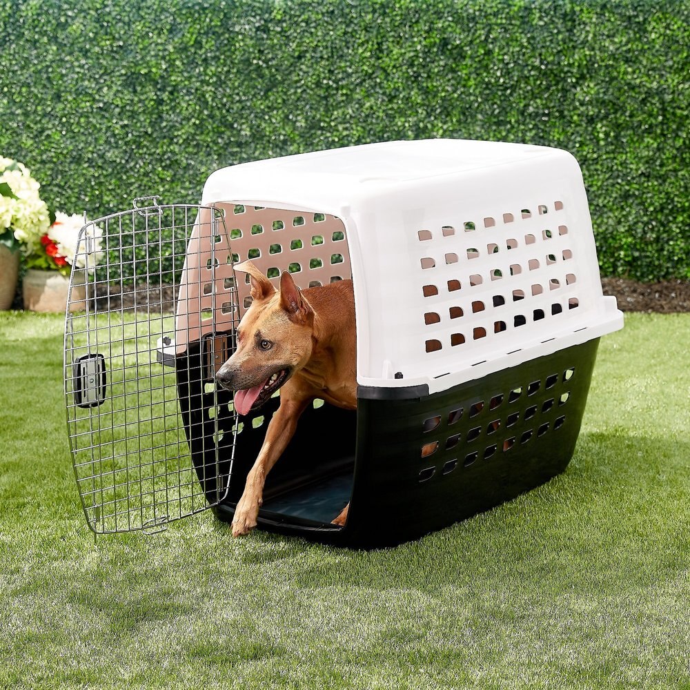 Petmate Compass Dog Kennel - XLarge