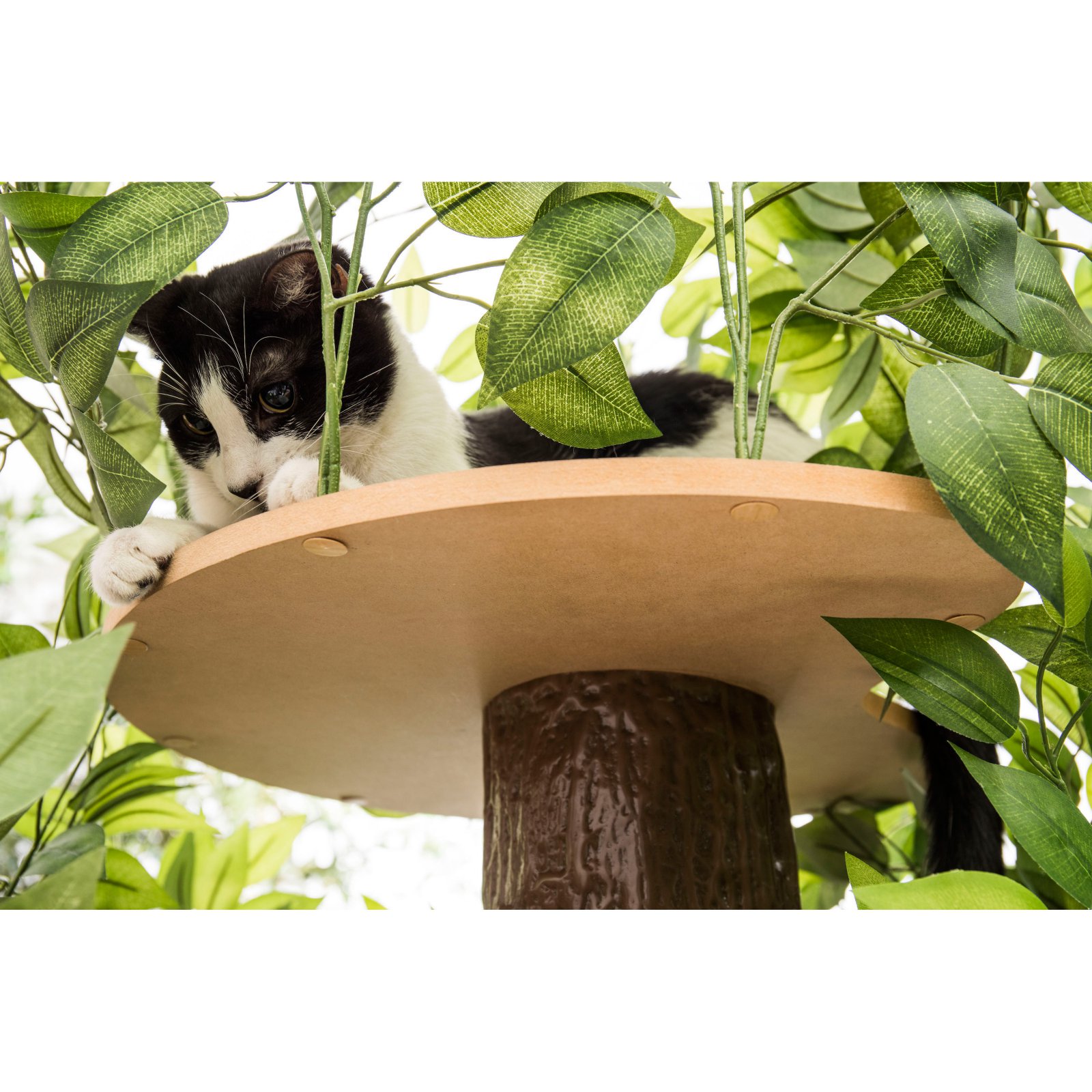 On2Pets Luxury 48 in. Square Cat Tree