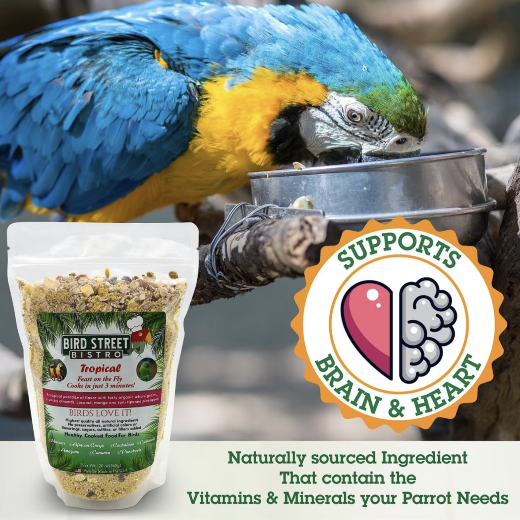 Bird Street Bistro Tropical Feast on the Fly Bird Food. 20-oz. Case of 4