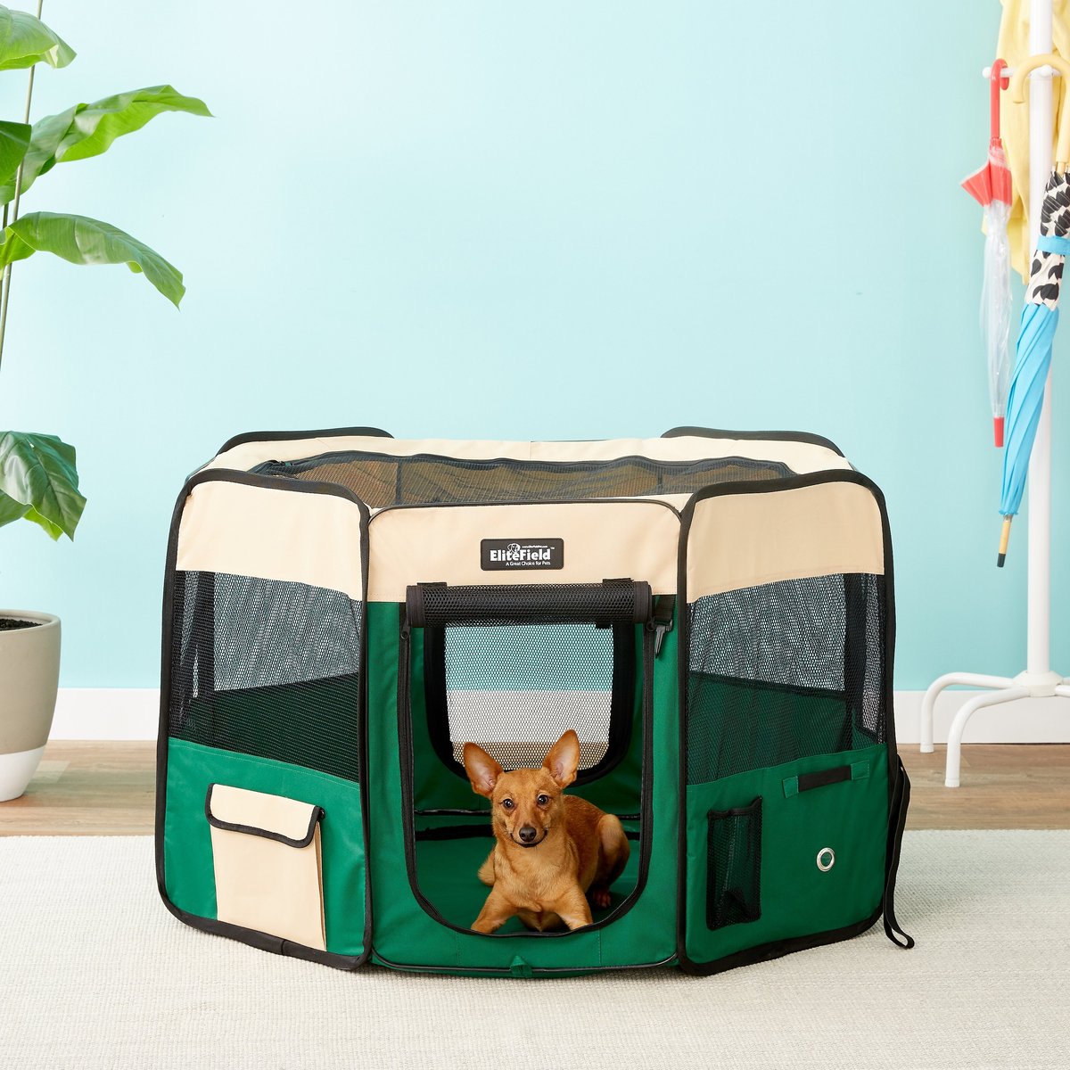 EliteField 2-Door Soft-Sided Dog & Cat Playpen. Beige & Green. 42 x 42 x 24-in