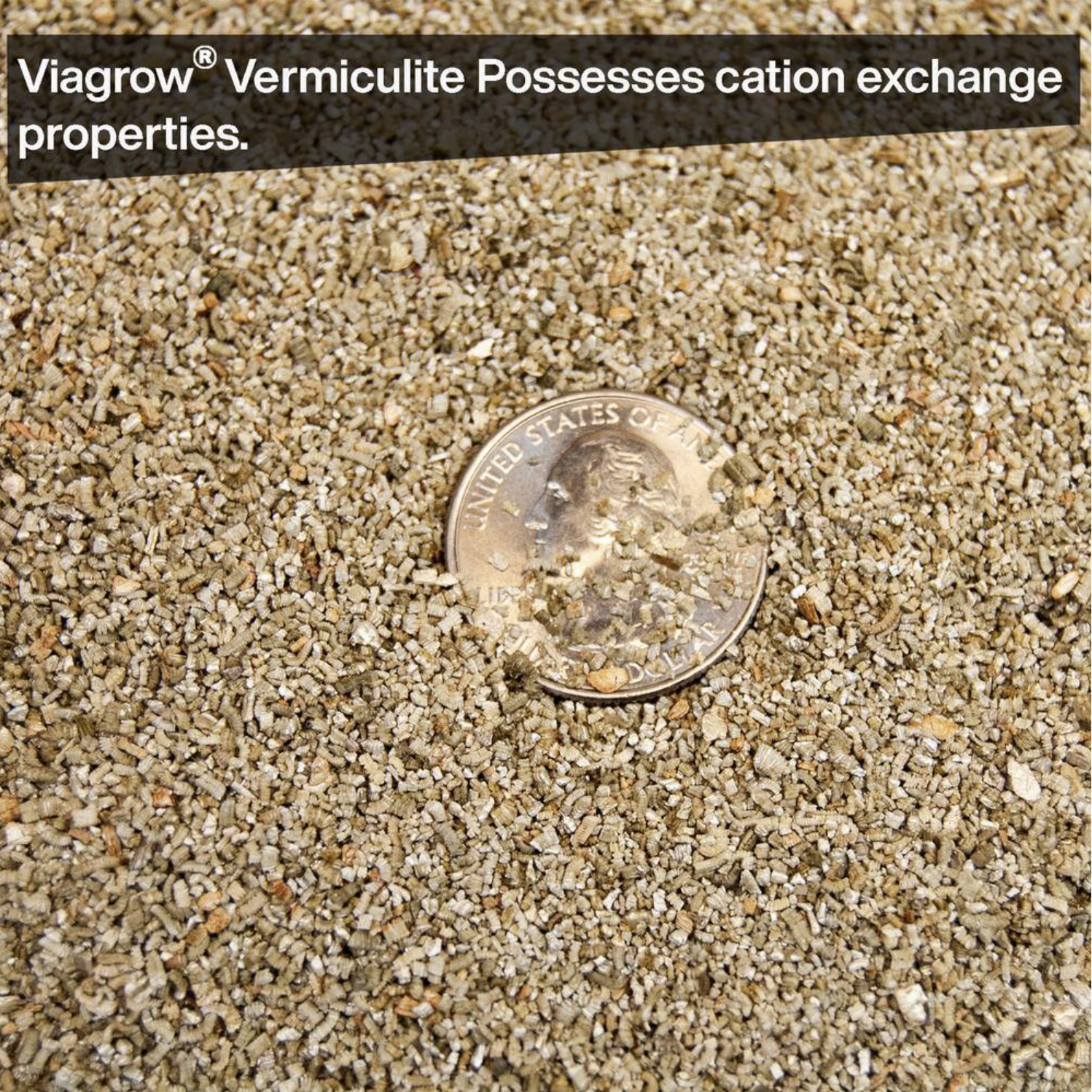 Viagrow 4 Cu. Ft. 29.9 Gal./113 l Horticultural Vermiculite (2-Pack)