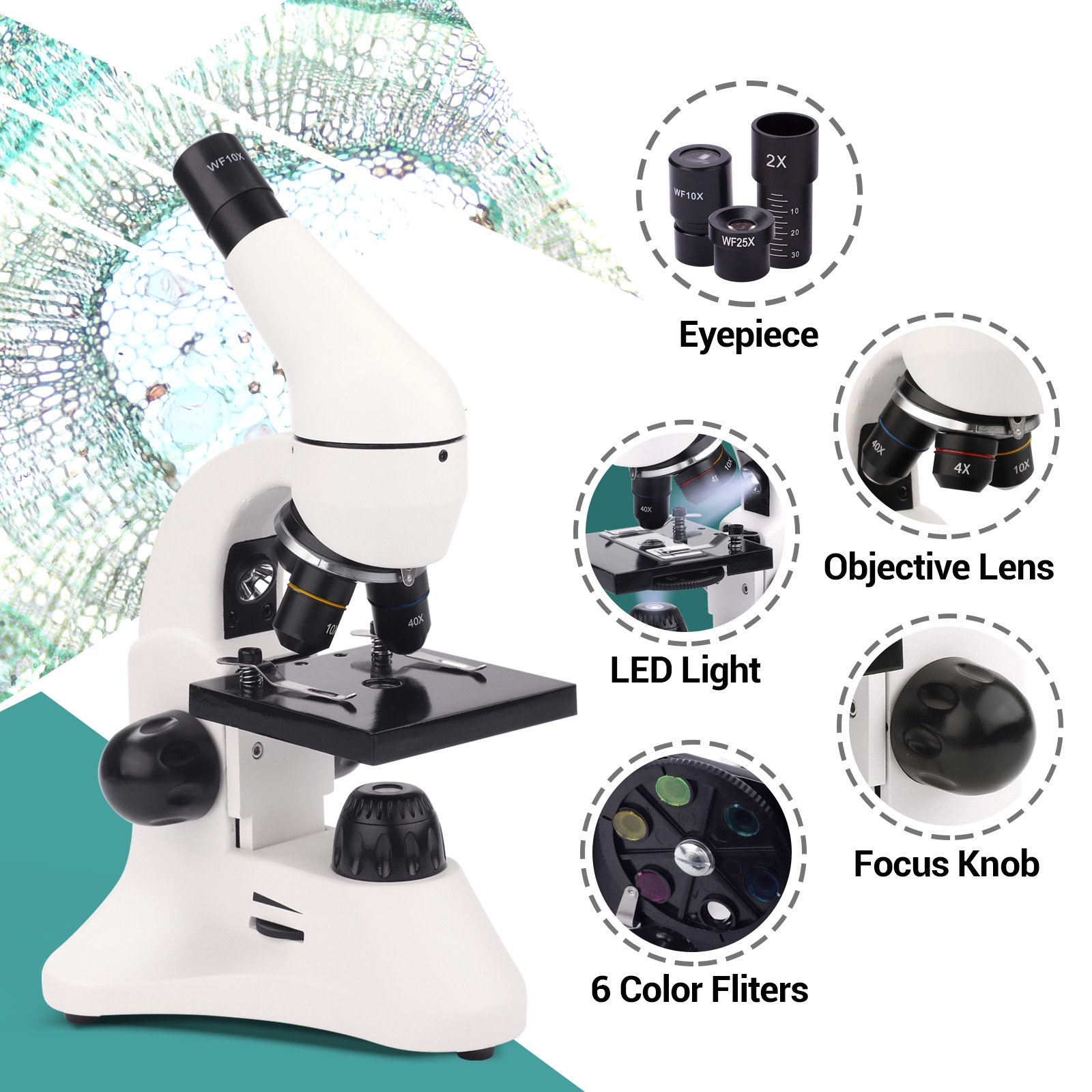 Lakwar UX002 Optical Biological Microscope Profesional 40X-2000X Compound Microscope with LED Light. Slides. Phone Adapter
