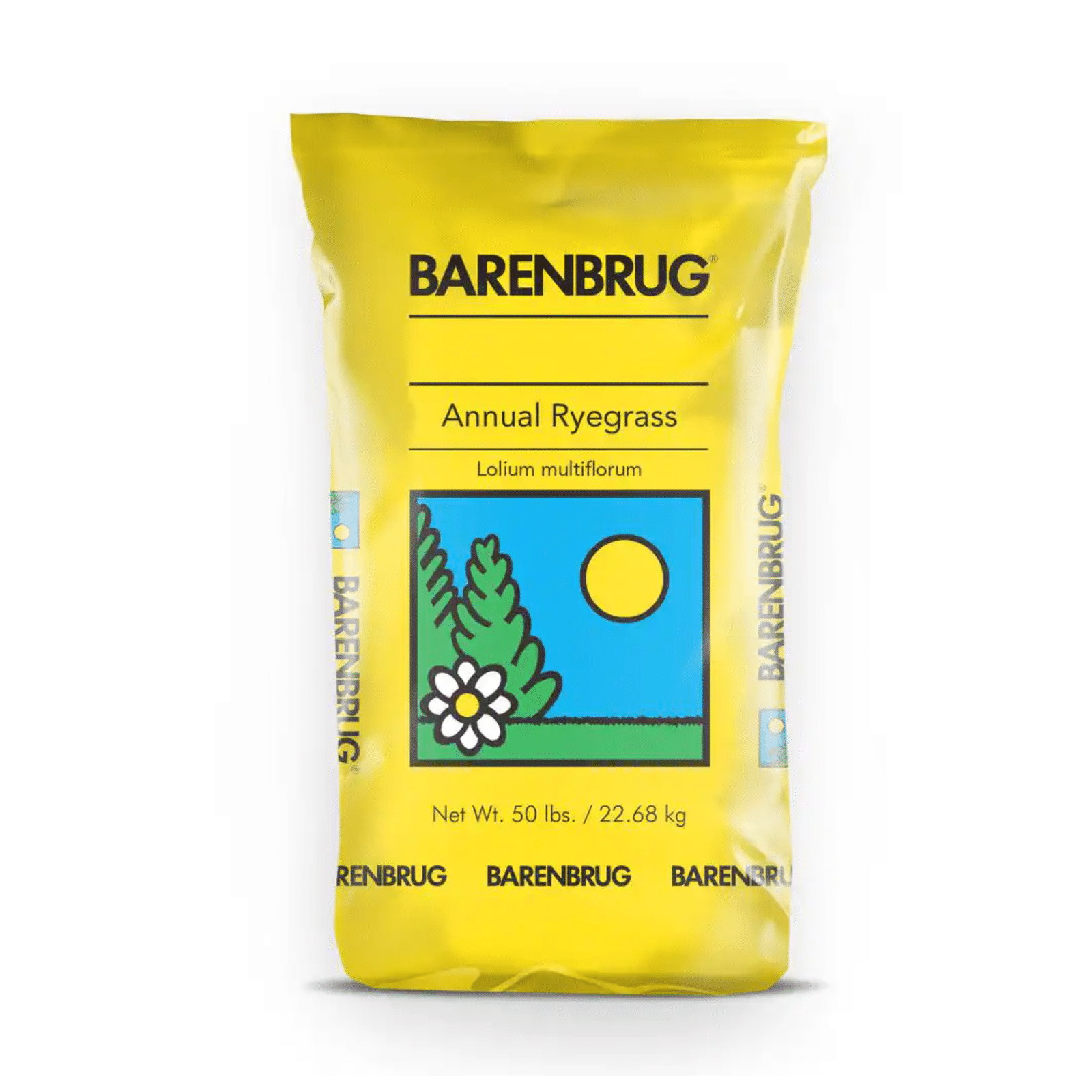 Barenbrug 50 lb. Panterra V OverSeeding Rye Grass Seed