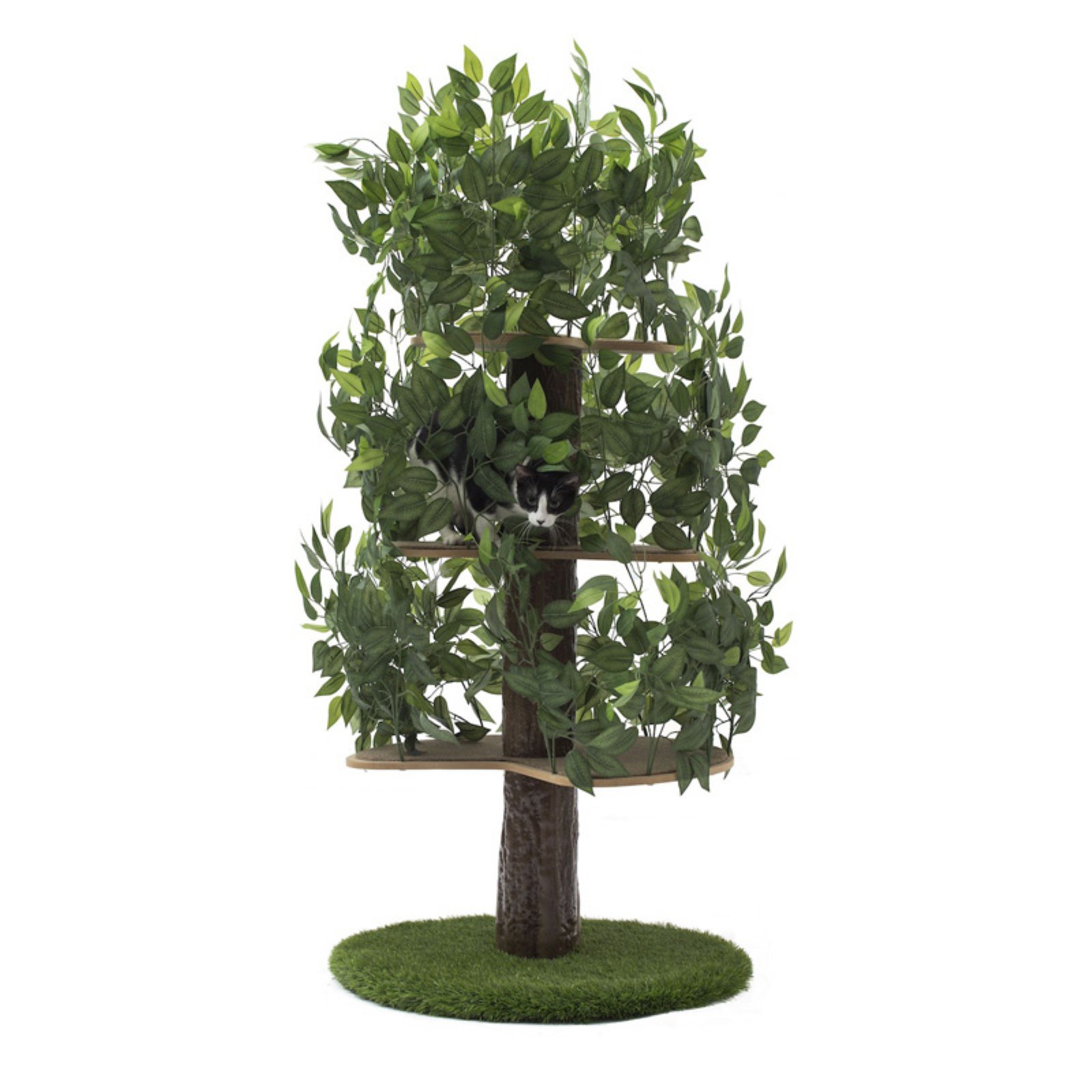 On2Pets 60-in Cat Tree & Condo Scratching Post Tower. Green