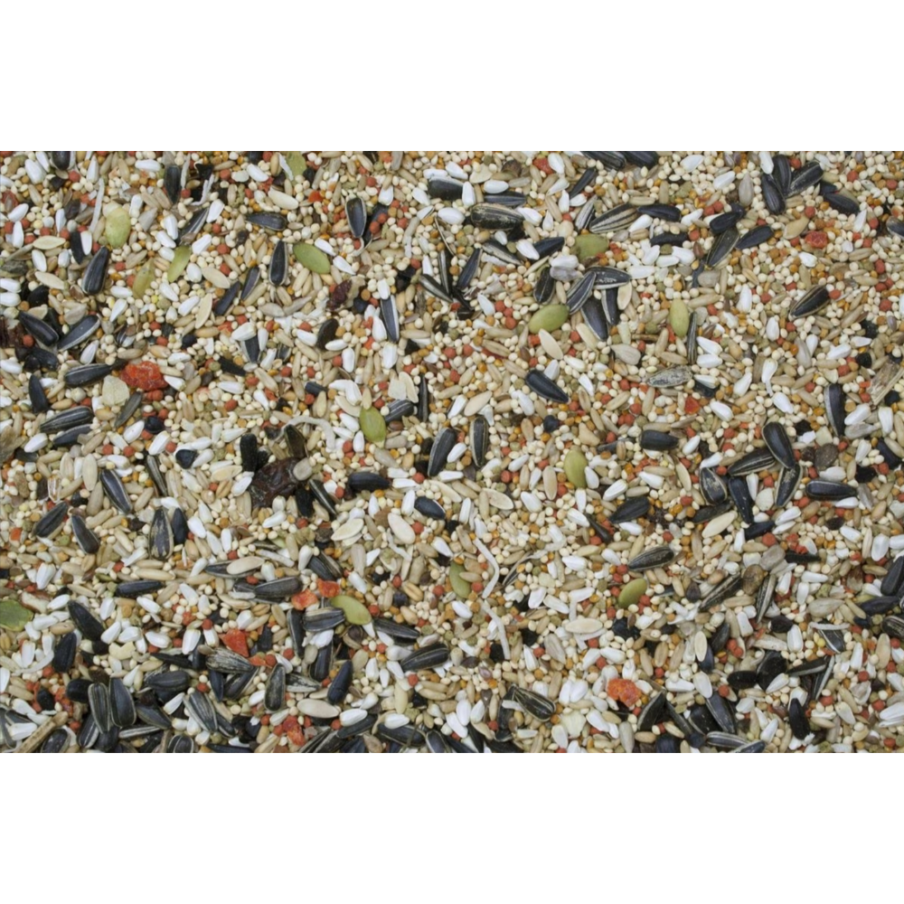 Higgins Sunburst Gourmet Blend Cockatiel Food. 25-lb bag