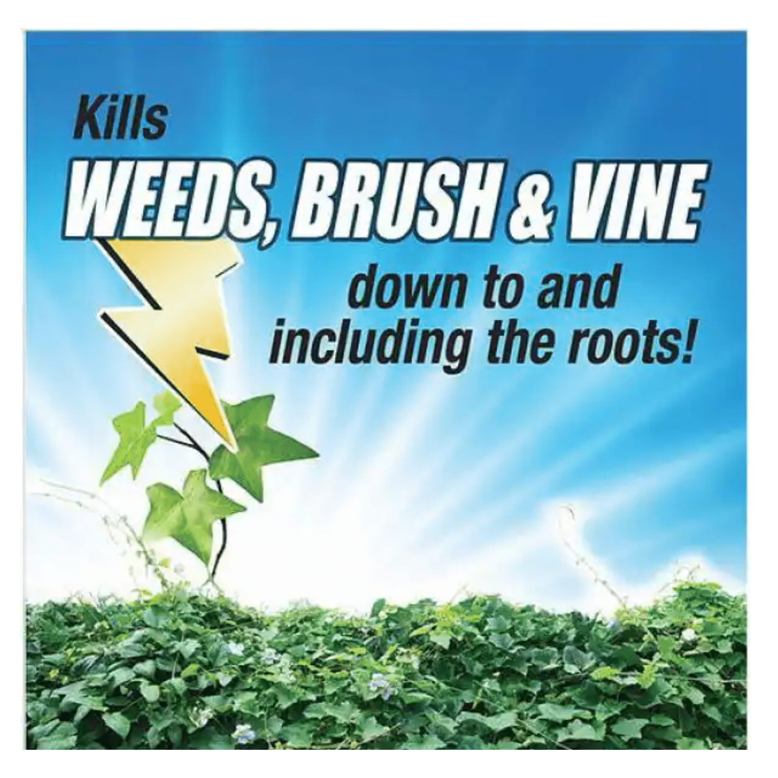 Pulverize Weed. Brush and Vine Killer. 2.5 Gal. Concentrate
