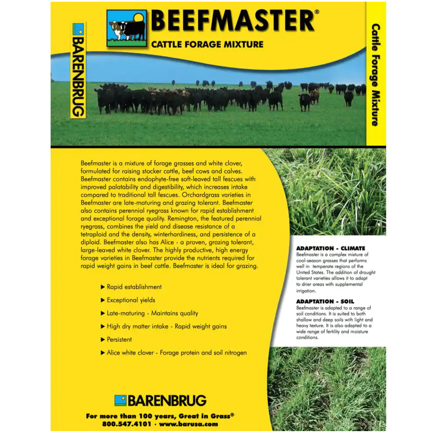 Barenbrug 25 lb. Beef Master Grass Seed Mix