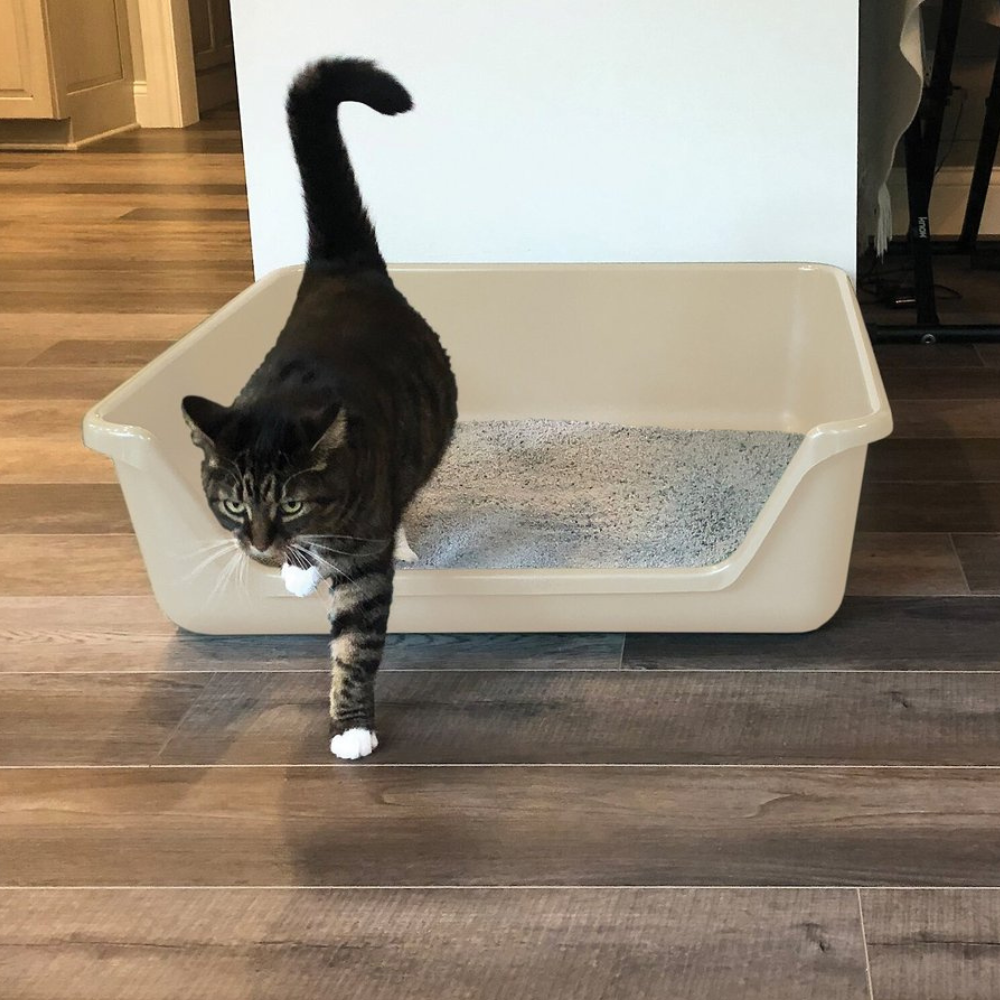 Shirley K-s Senior Cat Litter Box. X-Large