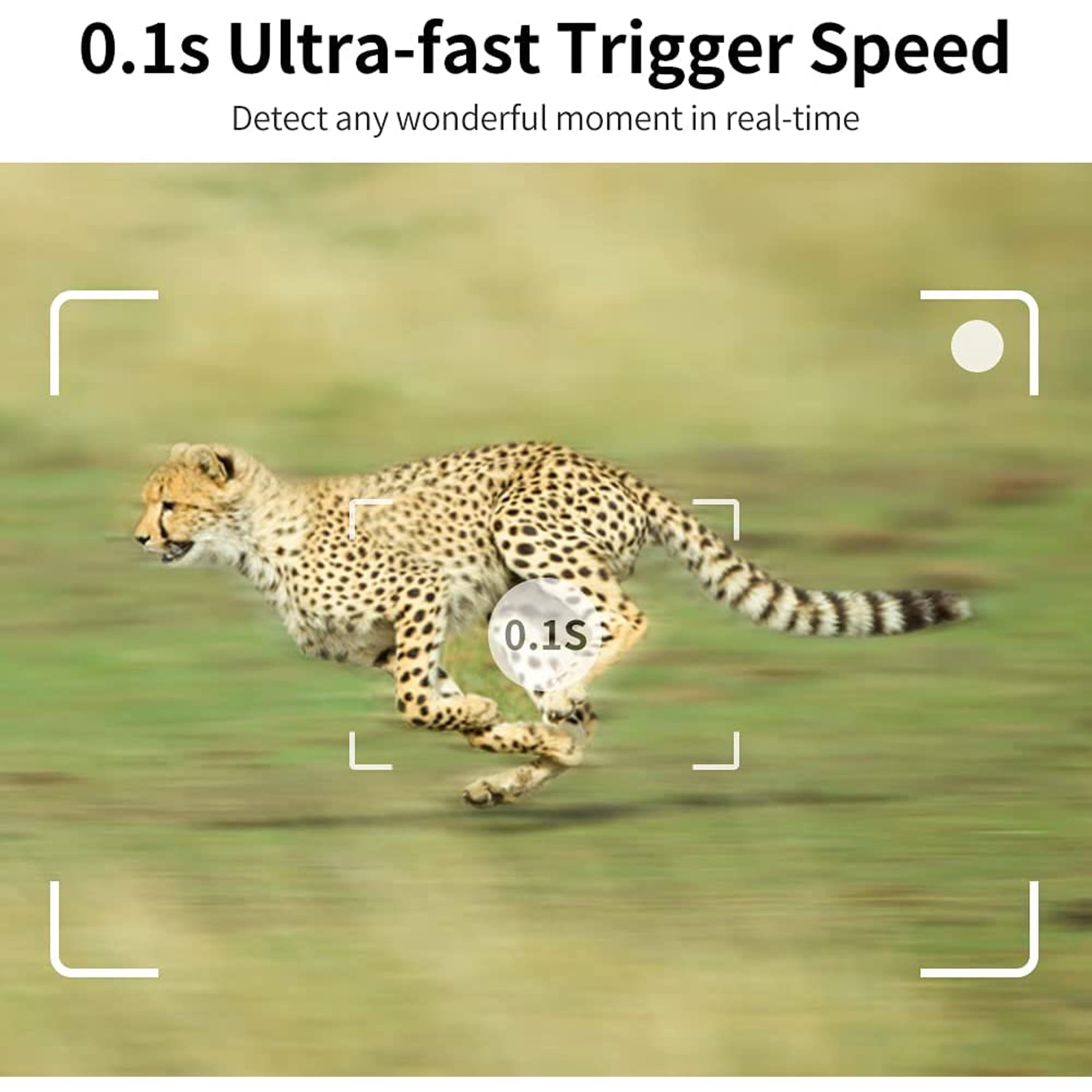 Coolife H8201 4K 32MP Infrared Trail Camera. Trigger Distance Up to 82 ft with Motion Detector 0.1 Seconds Quick Trigger