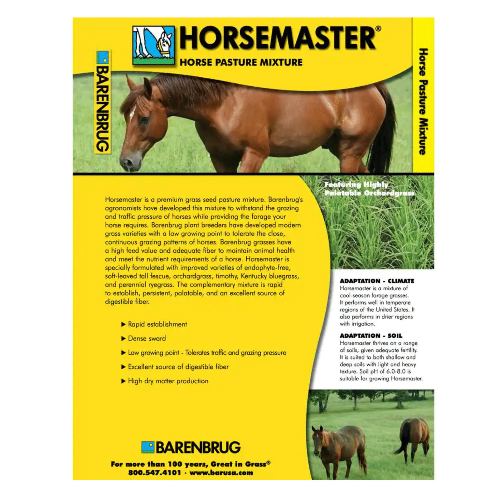 Barenbrug 25 lb. Horse Master Grass Seed Mix