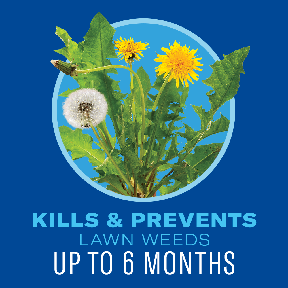 BioAdvanced 5 In 1 Weed and Feed. Granules. 24 lbs