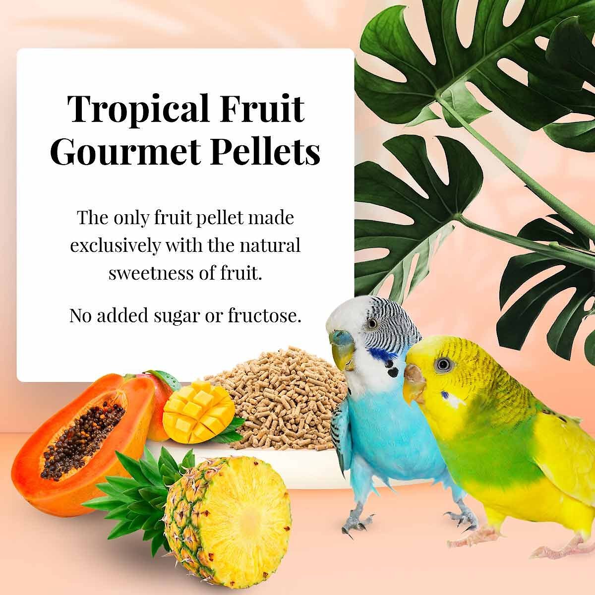 Lafeber Tropical Fruit Gourmet Pellets Parakeet Bird Food. 25-lb box