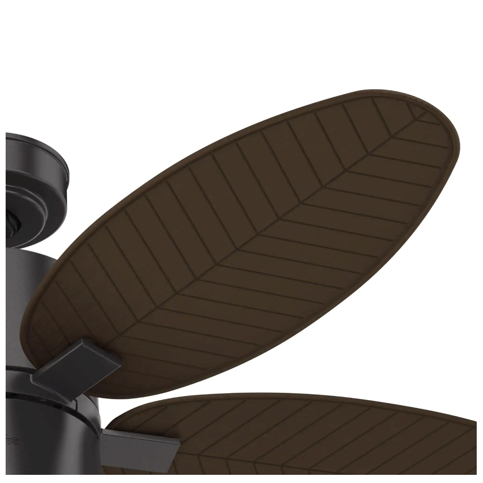 Hunter Amaryllis 52 in. Indoor/Outdoor Noble Bronze Ceiling Fan with Light Kit and Remote (51191)