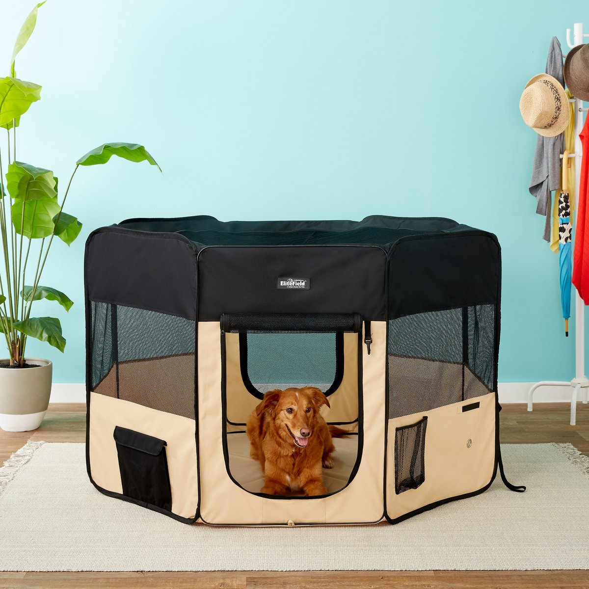 EliteField 2-Door Soft-Sided Dog & Cat Playpen. Black & Beige. 62 x 62 x 36-in