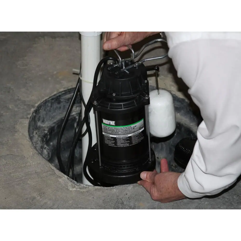 Wayne 1/2 HP Cast Iron Sump Pump With Vertical Float Switch