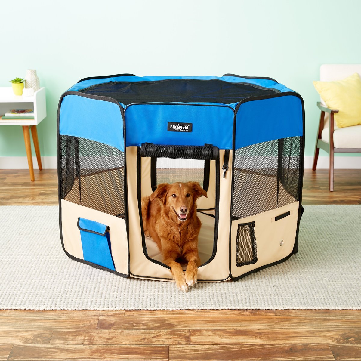 EliteField 2-Door Soft-Sided Dog & Cat Playpen. Royal Blue & Beige. 48 x 48 x 32-in