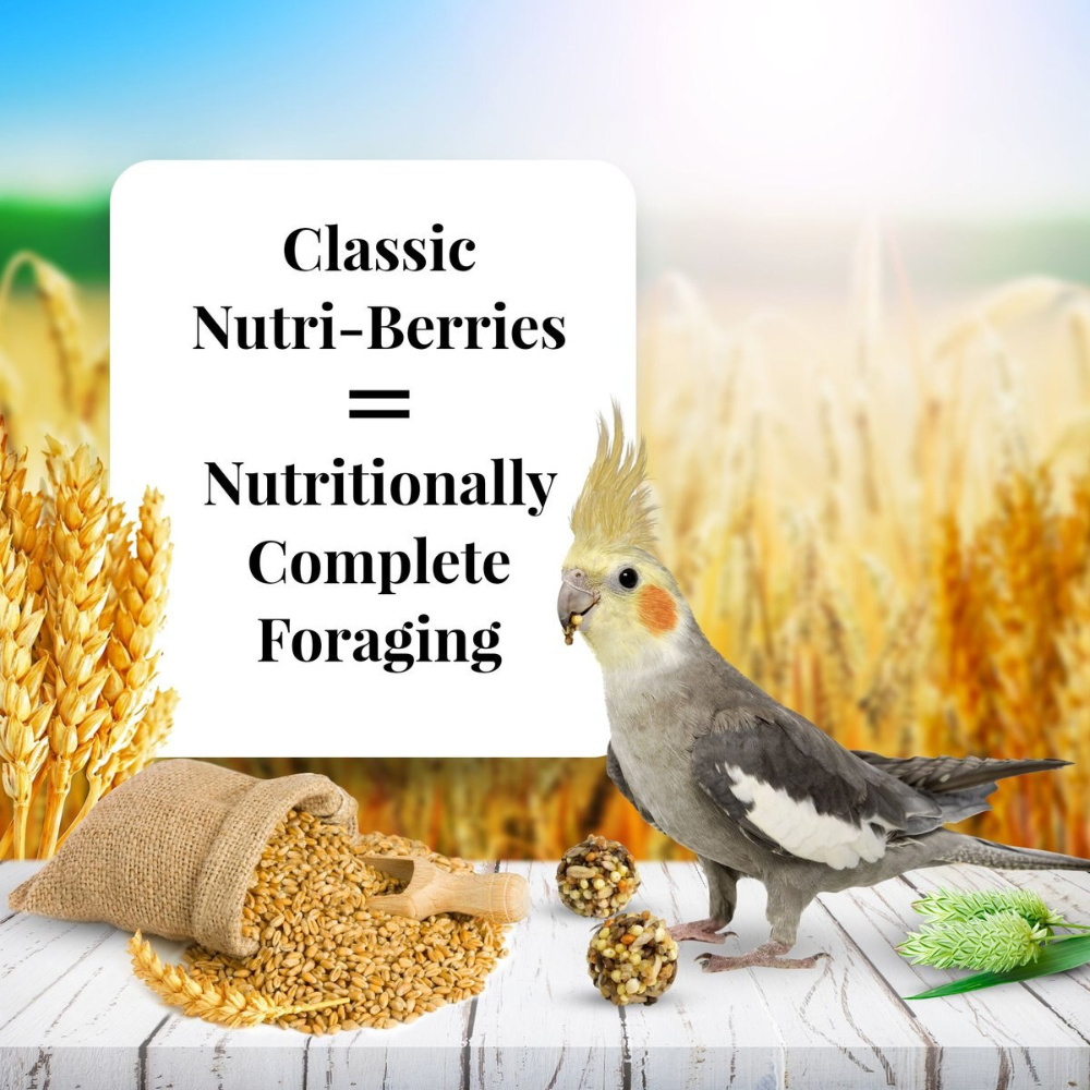 Lafeber Classic Nutri-Berries Cockatiel Food