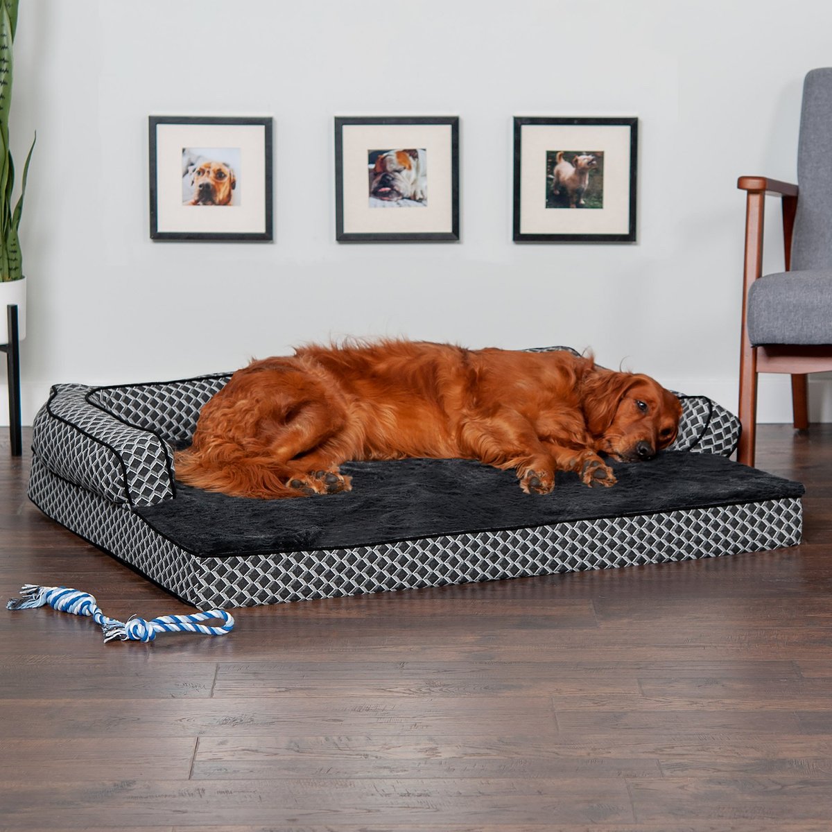 FurHaven Jumbo Comfy Couch Orthopedic Bolster Dog Bed with Removable Cover. Diamond Gray