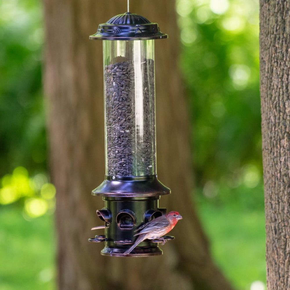 Squirrel-X by More Birds X5 Squirrel Resistant Bird Feeder