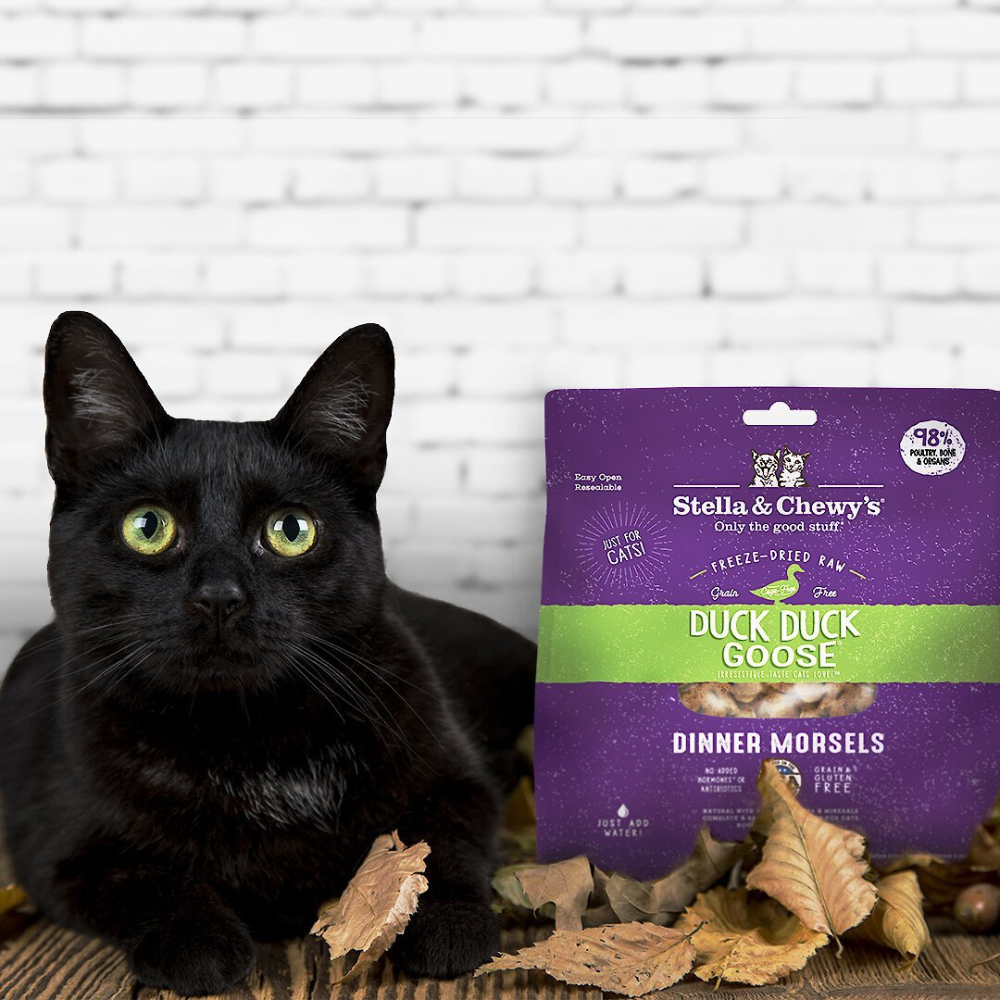 Stella & Chewy-s Duck Duck Goose Dinner Morsels Freeze-Dried Raw Cat Food