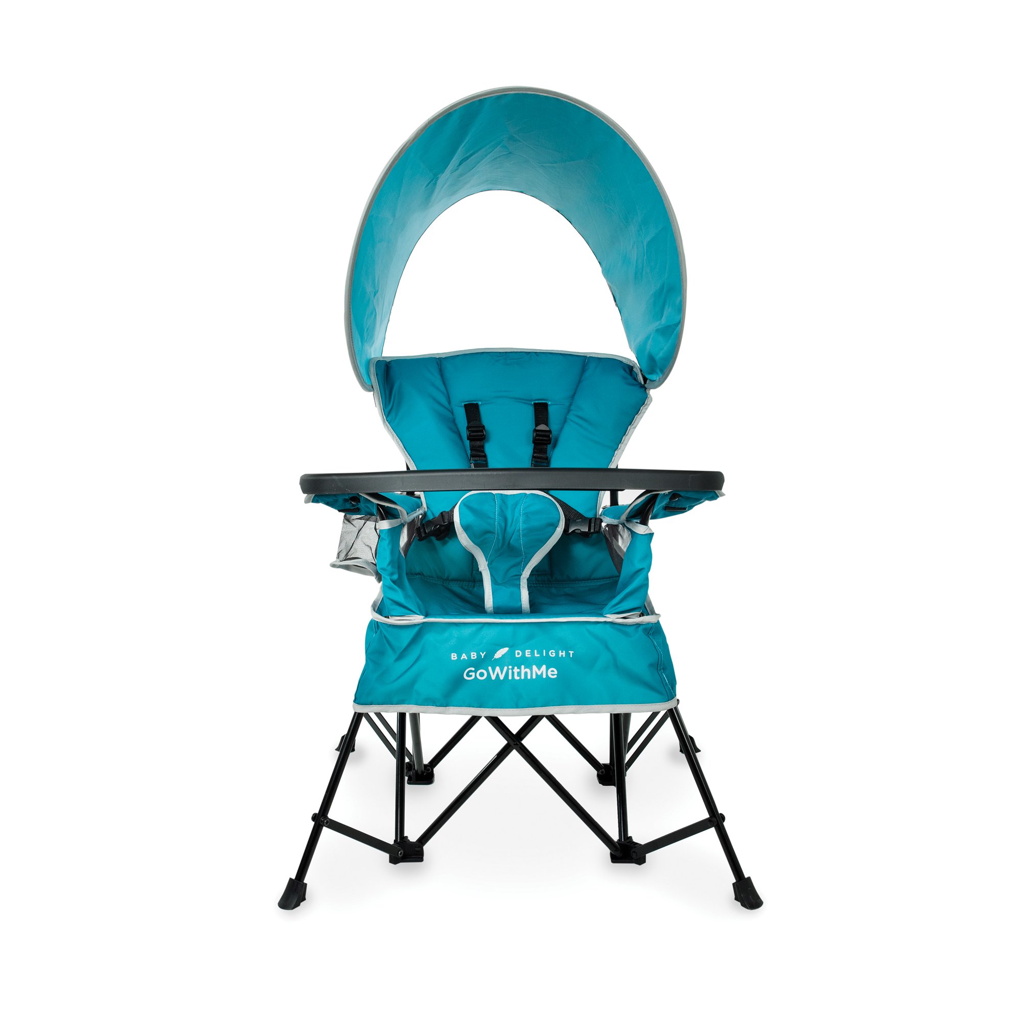 Baby Delight Go With Me Jubilee Deluxe Portable Chair. Teal