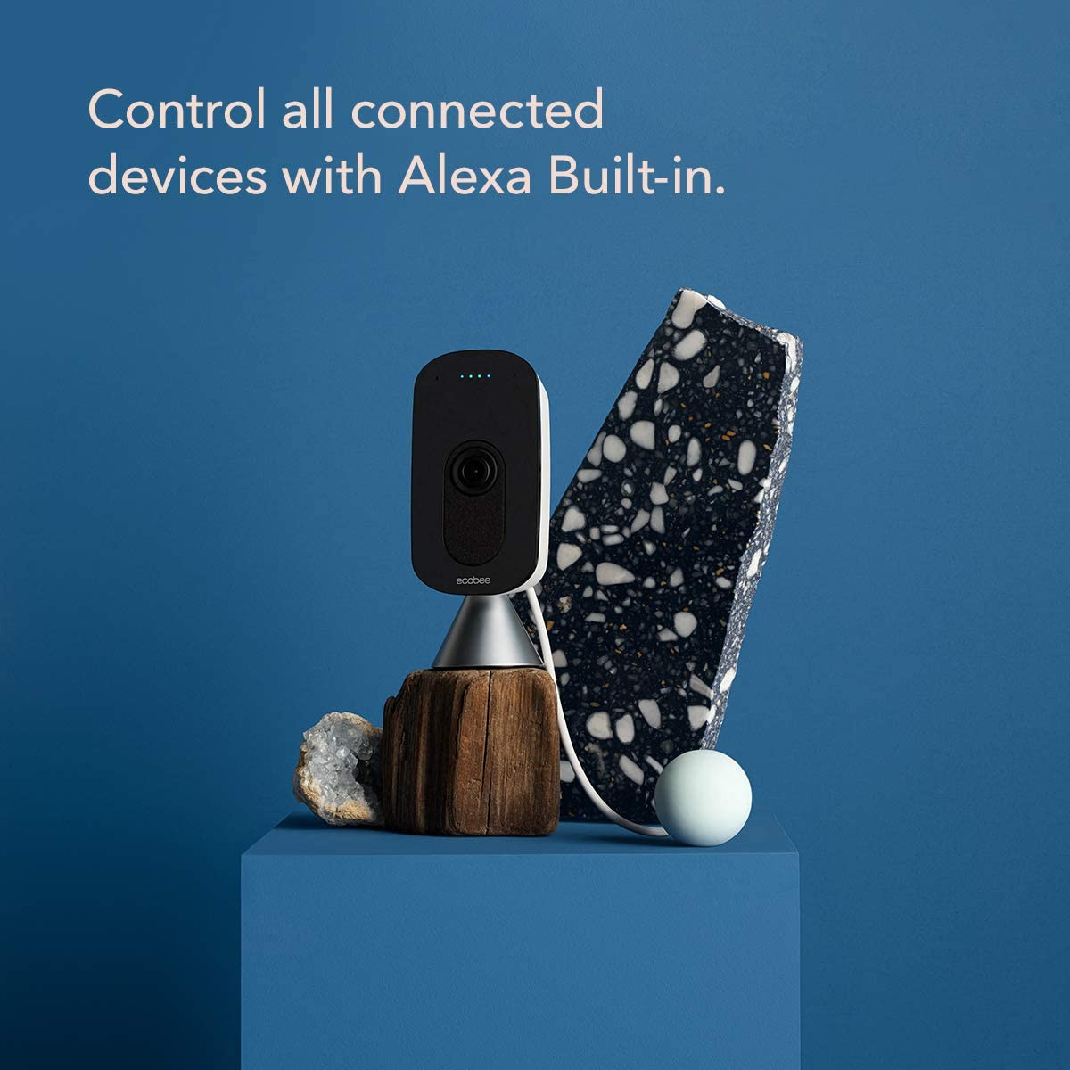 Ecobee Smart Camera With Voice Control