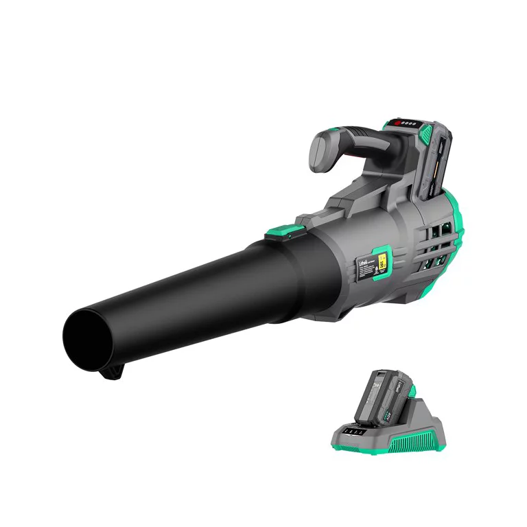 Litheli 40V Cordless Leaf Blower Max 350CFM with 2.0Ah Battery and Charger