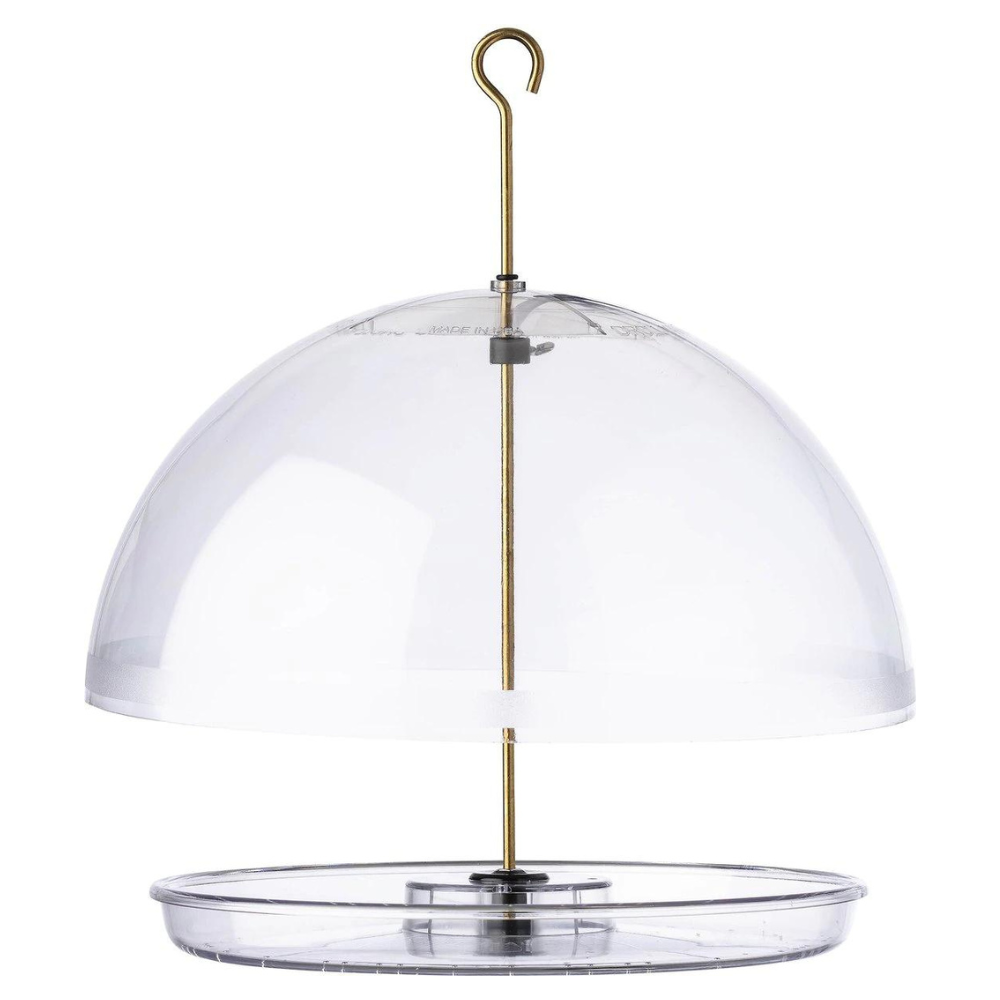 Droll Yankees Dorothy-s Cardinal Domed Bird Feeder