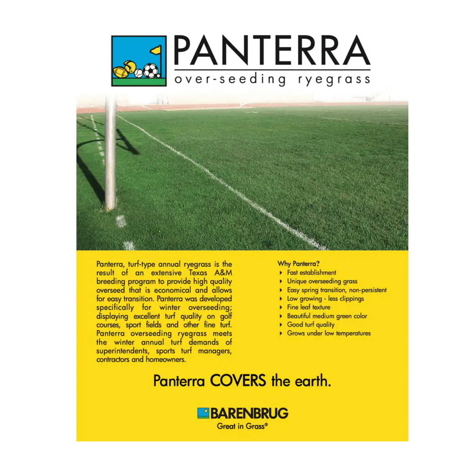Barenbrug 50 lb. Panterra V OverSeeding Rye Grass Seed