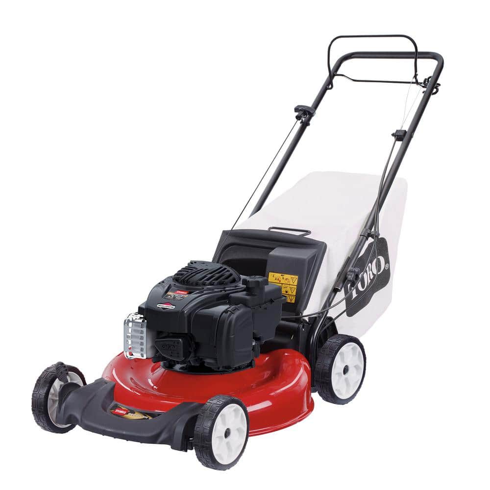 Toro Recycler 21 in. Briggs and Stratton Low Wheel RWD Gas Walk Behind Self Propelled Lawn Mower With Bagger