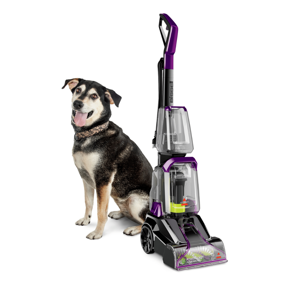 Bissell 2910 Powerforce Powerbrush Pet Lightweight Carpet Washer