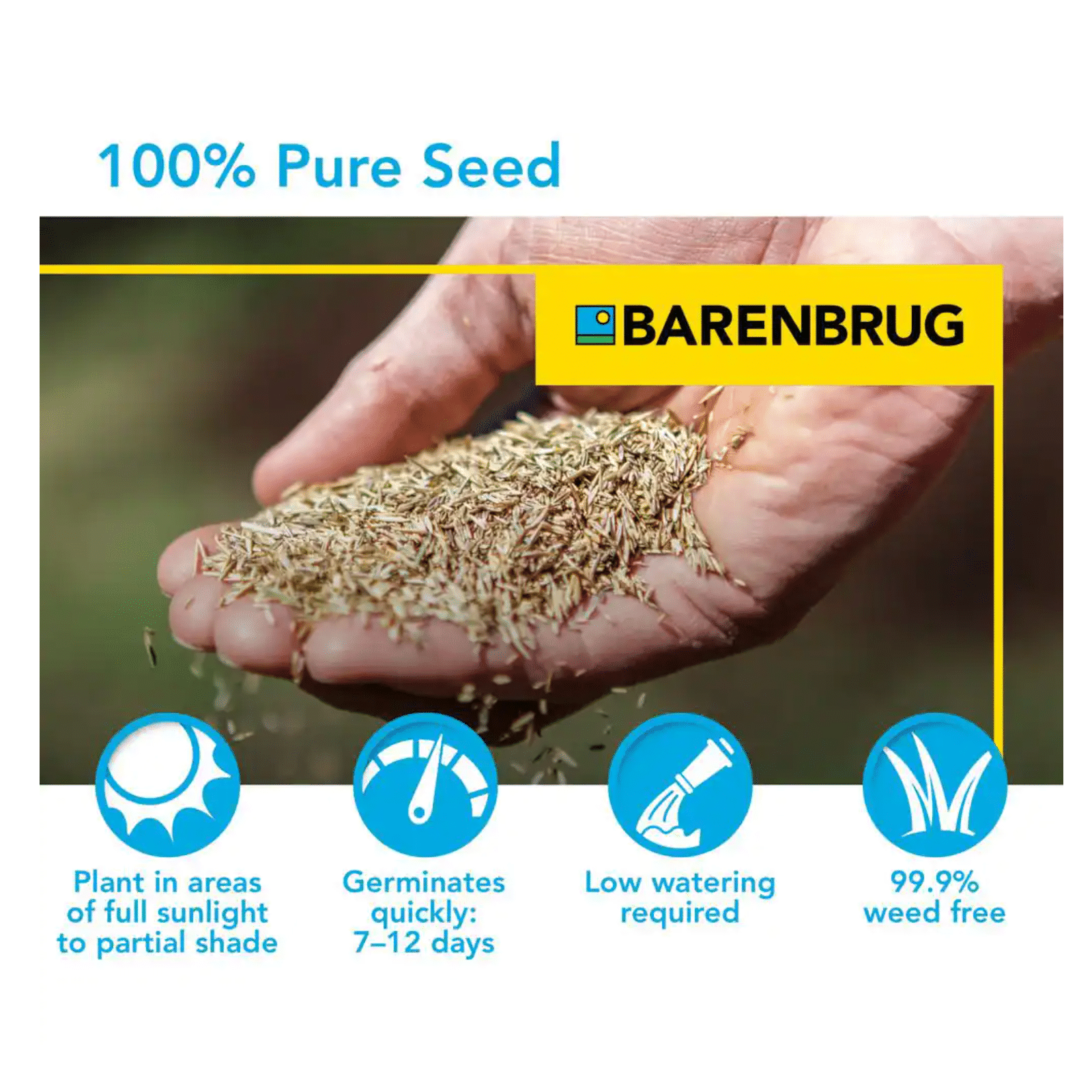 Barenbrug 25 lbs. 5.000 sq. ft. Turf Sense Athletic Field Mix Grass Seed
