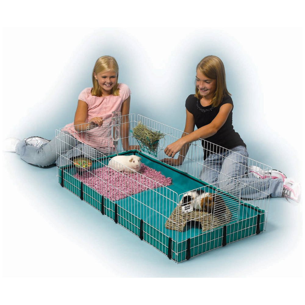 MidWest Guinea Habitat Guinea Pig Home. Plus Size