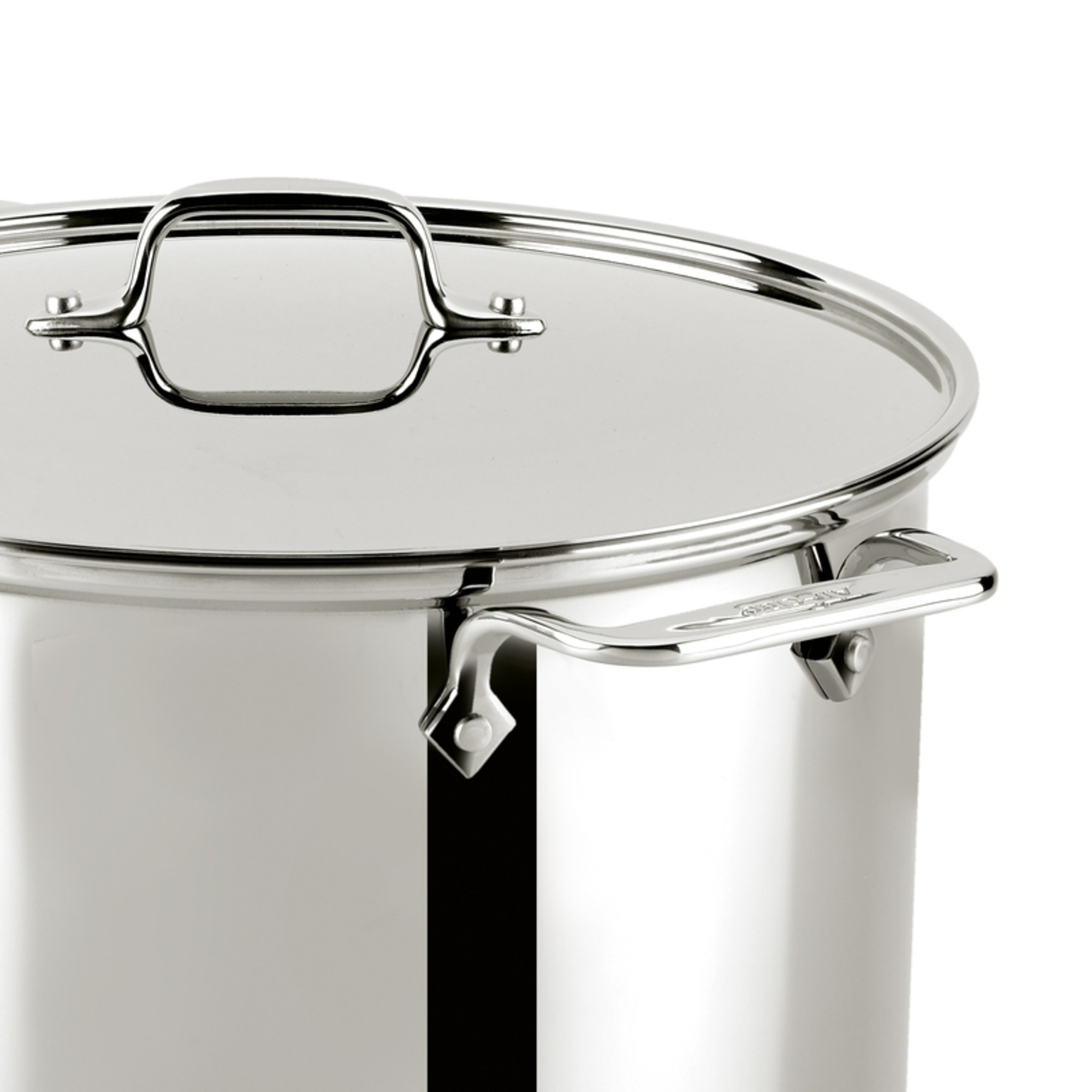 All-Clad Stainless-Steel Gourmet Accessories Stock Pot. 16-Qt.