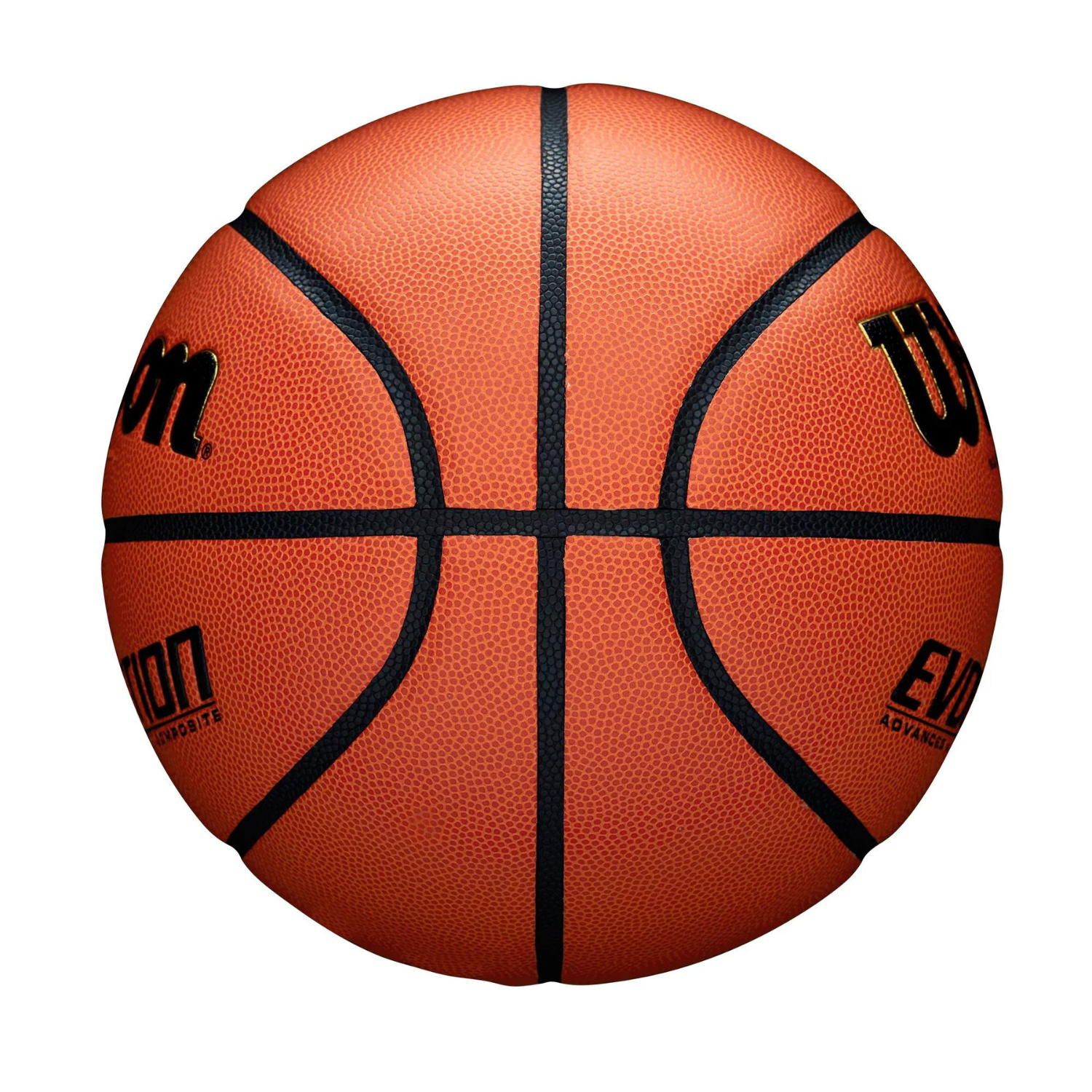 Wilson Official Evolution Basketball. 28.5-Inch