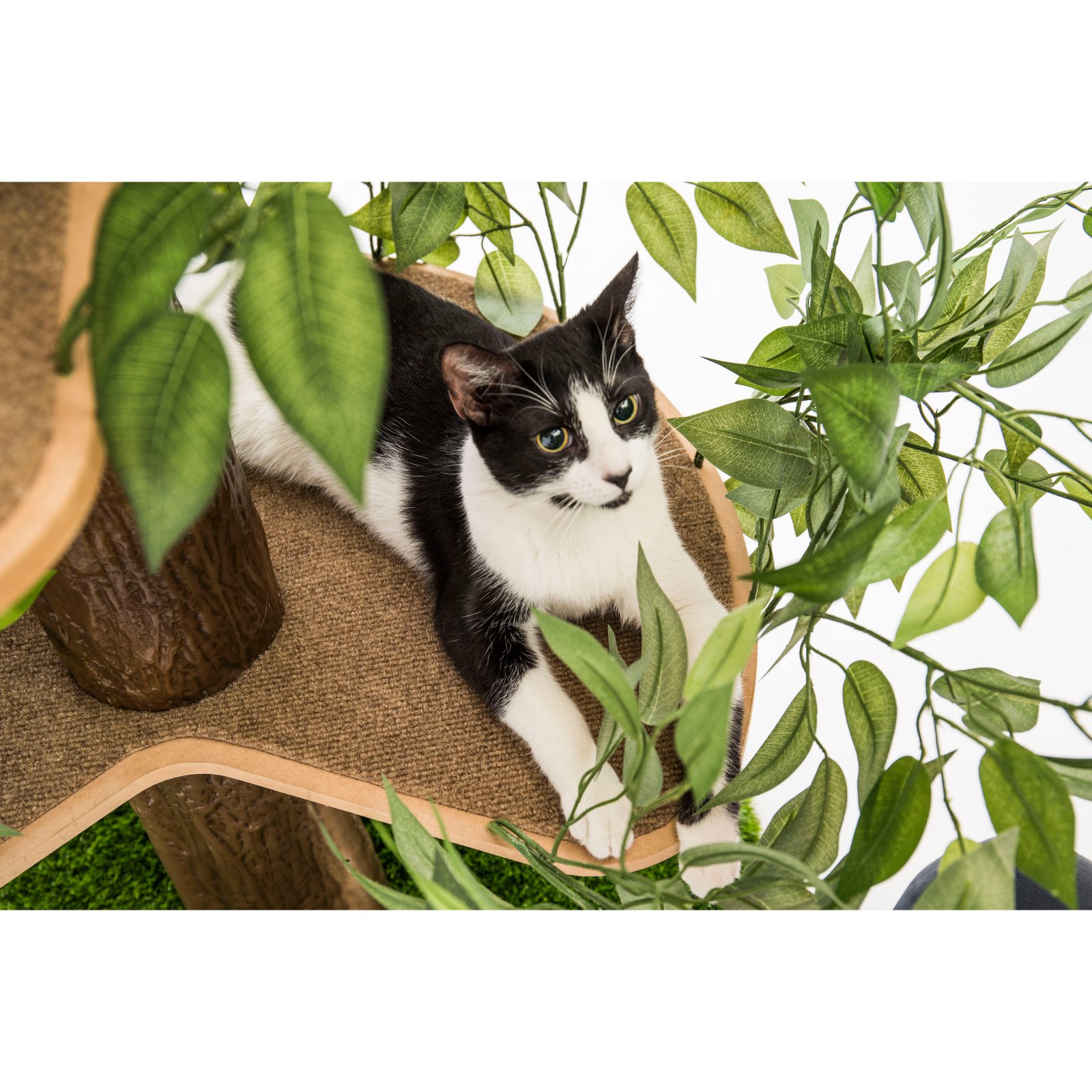 On2Pets 60-in Cat Tree & Condo Scratching Post Tower. Green