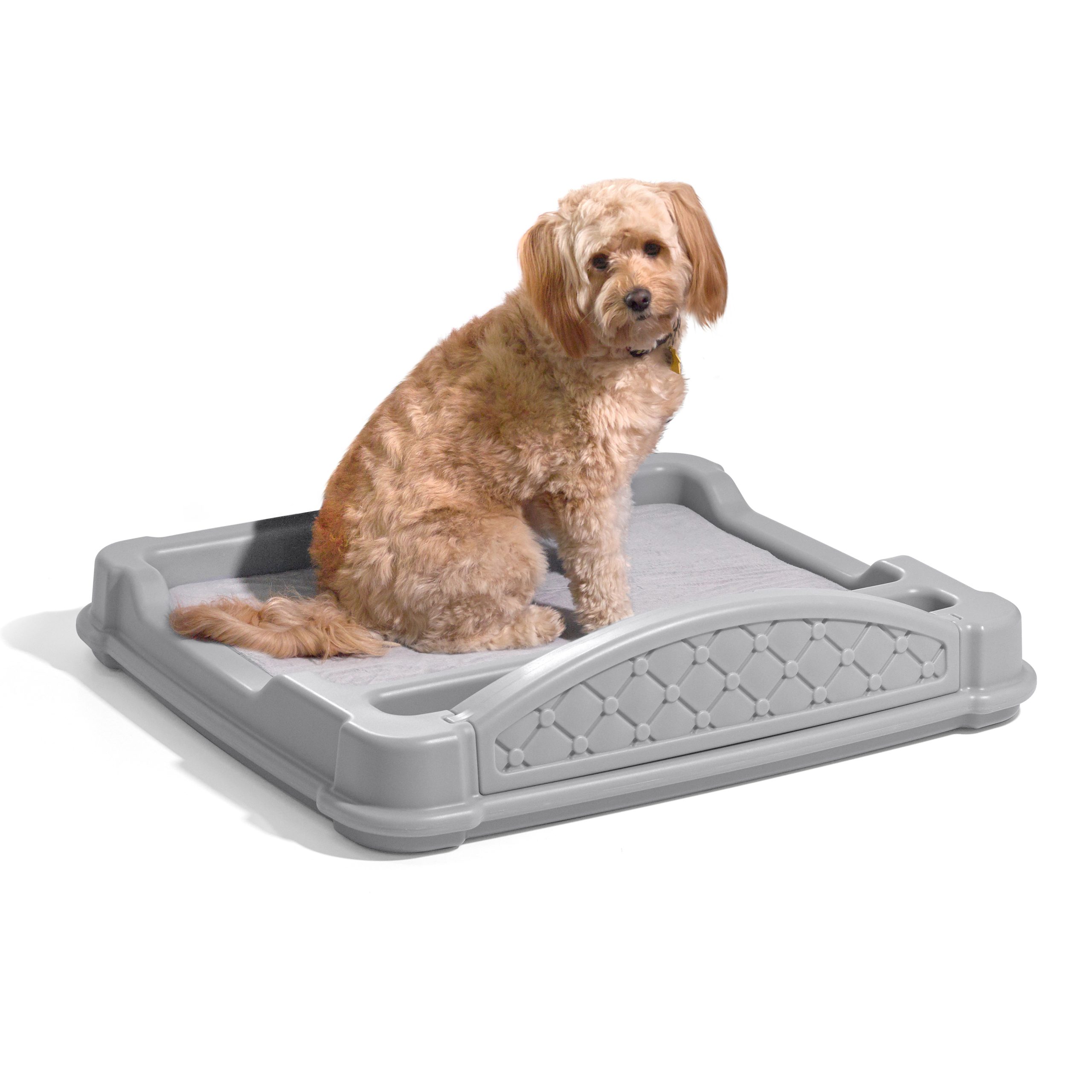 Step2 Close ‘N- Cozy Hideaway Dog Bed Gray