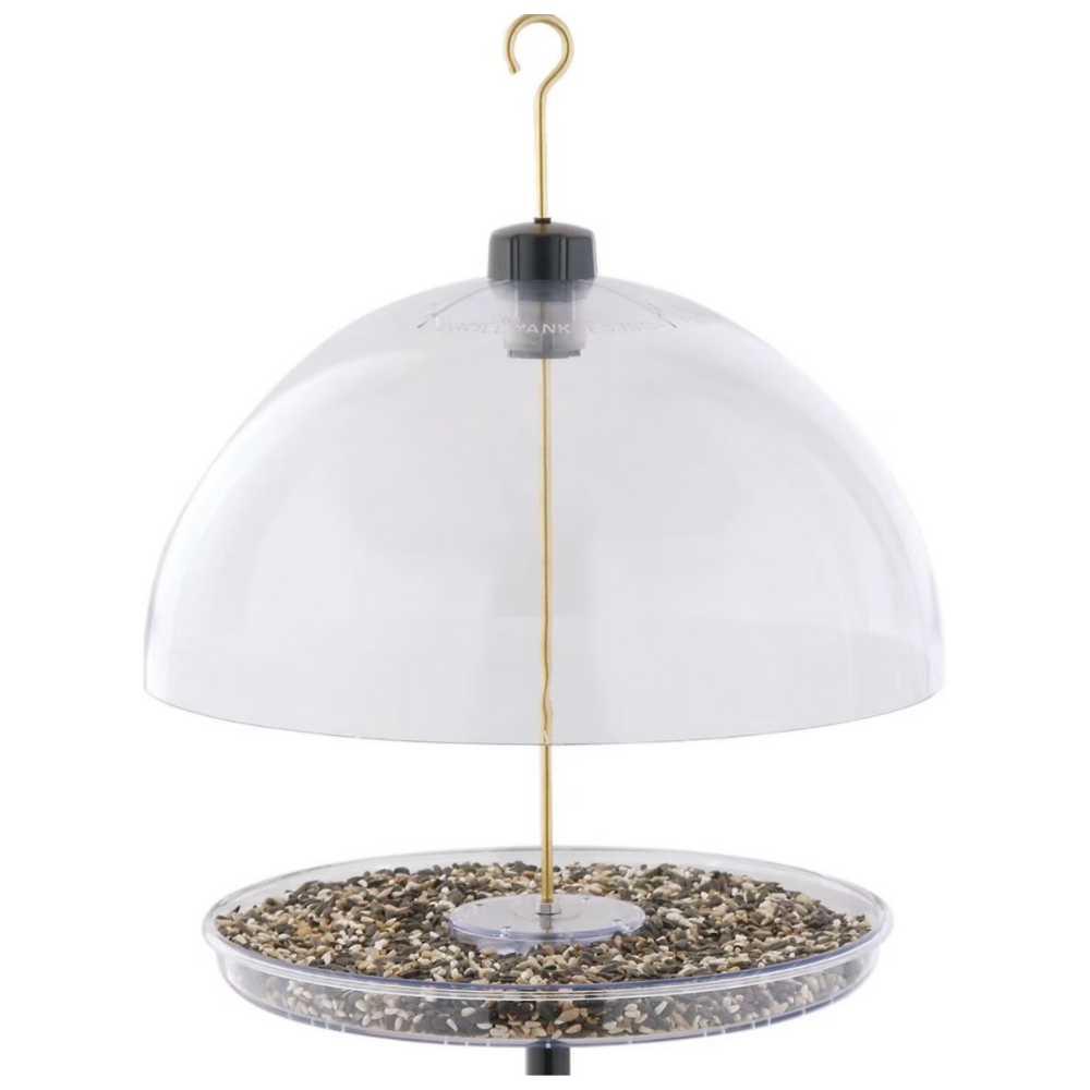 Droll Yankees Dorothy-s Cardinal Domed Bird Feeder